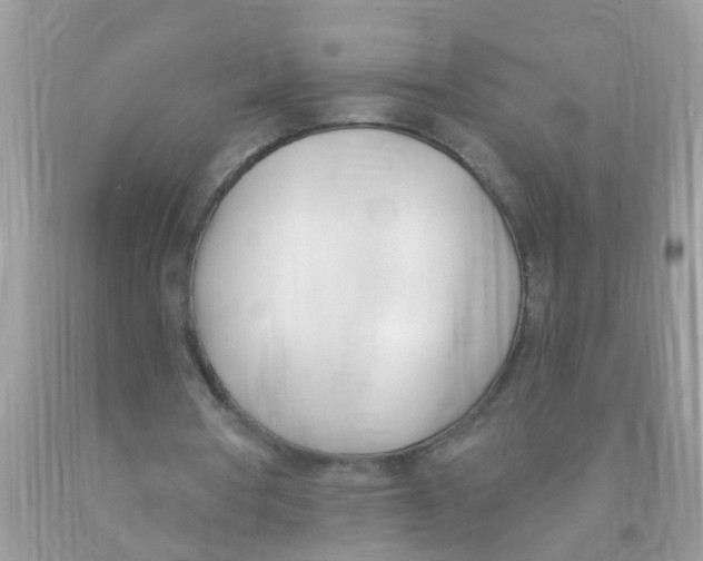 X0000089900386200707262255