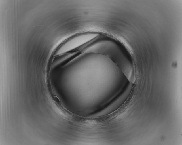 X0000089900391200707262255
