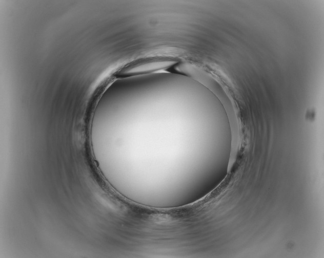X0000089900392200707262255