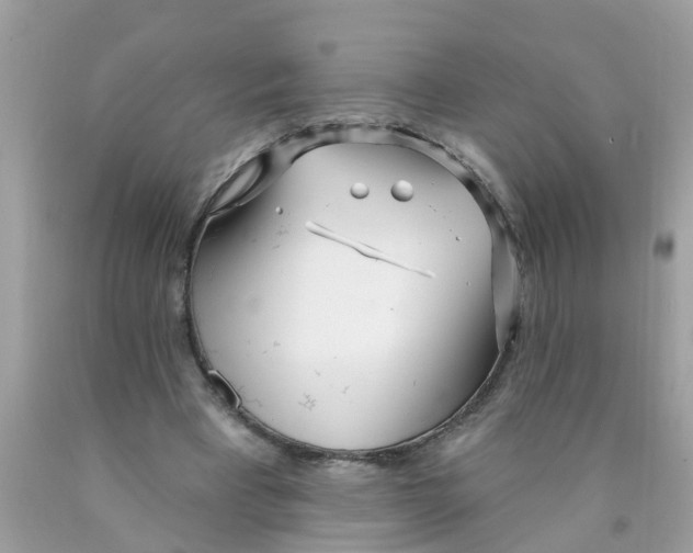 X0000089900393200707262255
