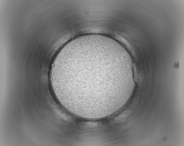 X0000089900394200707262255