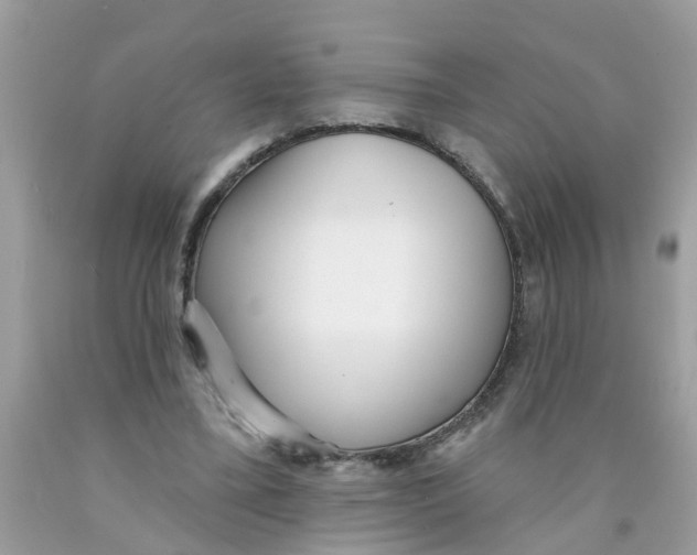 X0000089900395200707262255