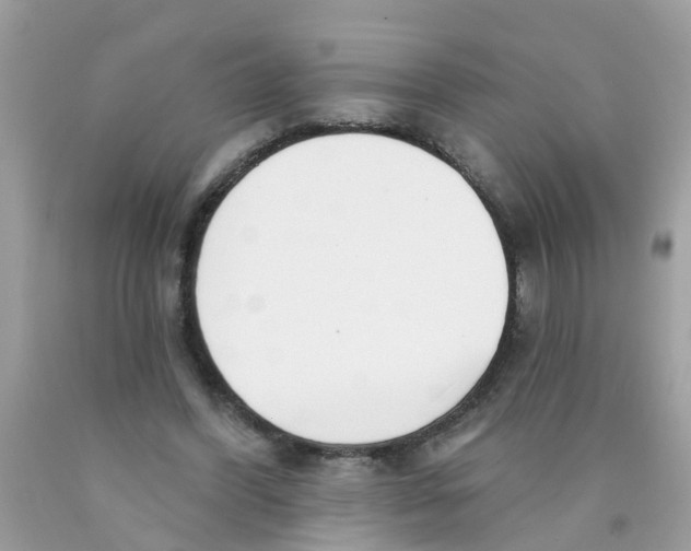 X0000089900396200707262255