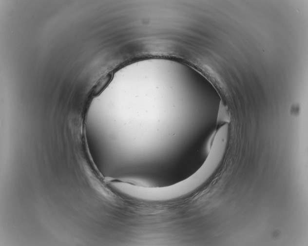 X0000089900397200707262255