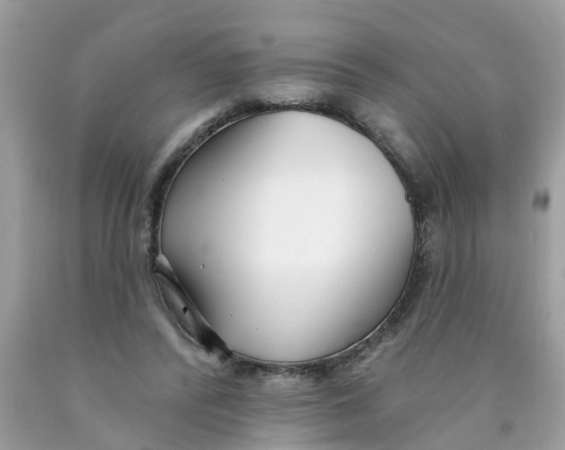 X0000089900400200707262255