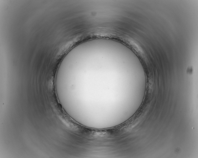 X0000089900401200707262255