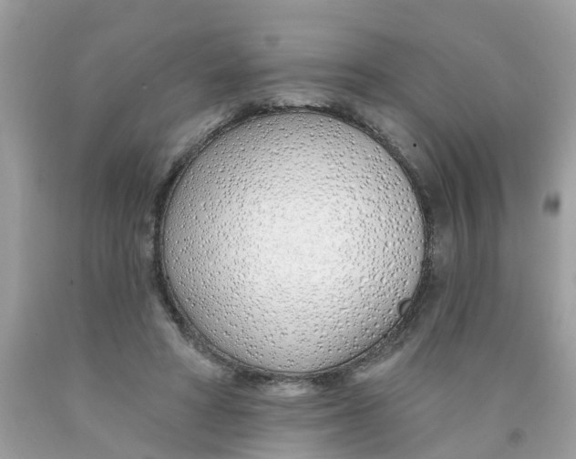 X0000089900402200707262255
