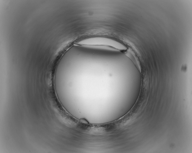 X0000089900403200707262255