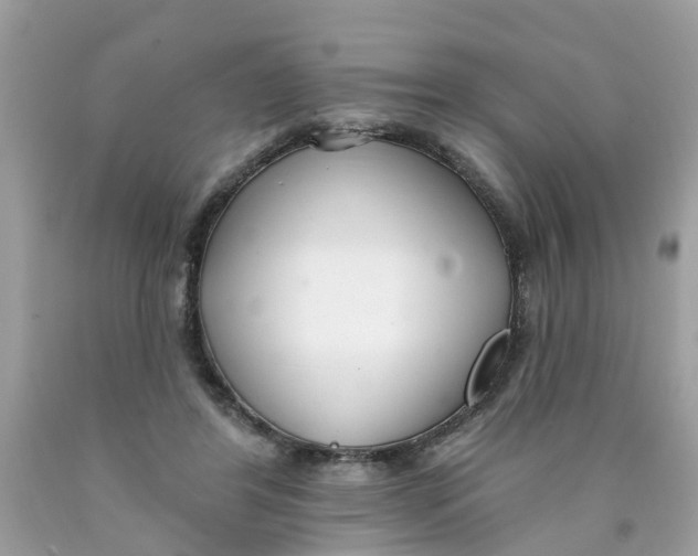 X0000089900404200707262255
