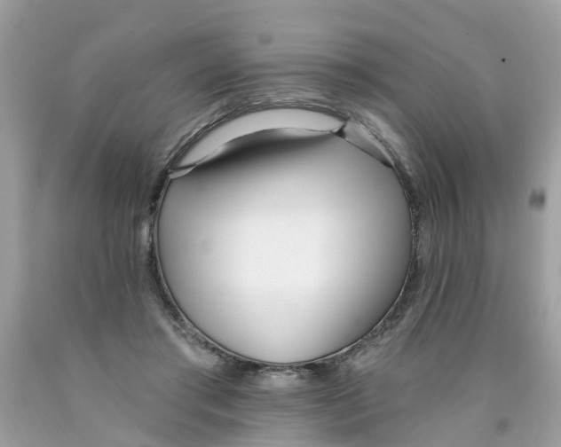 X0000089900405200707262255