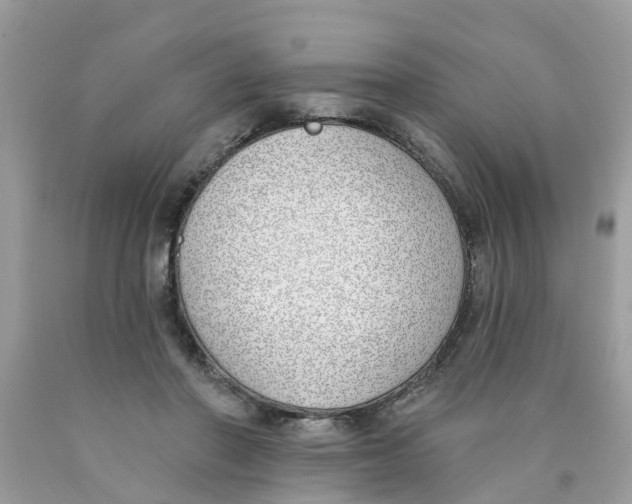 X0000089900406200707262255