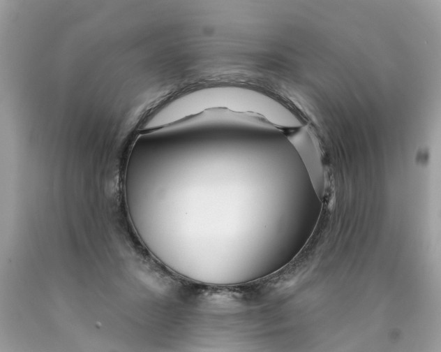 X0000089900407200707262255