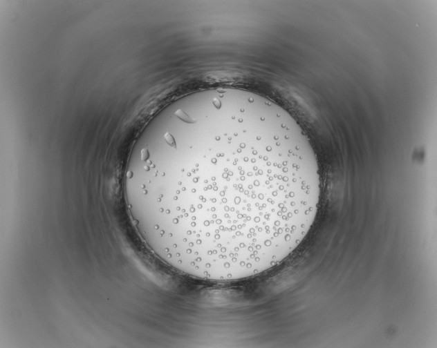 X0000089900408200707262255