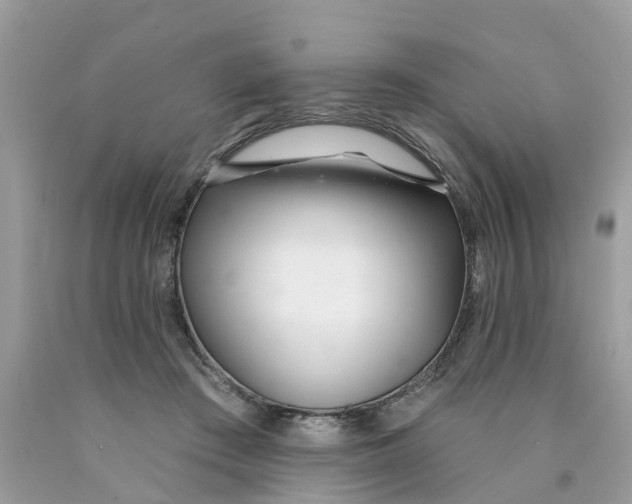 X0000089900409200707262255