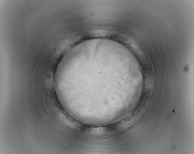 X0000089900411200707262255