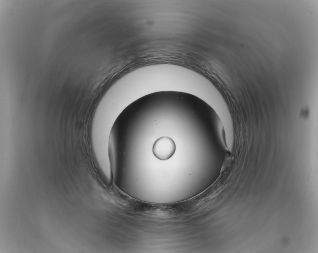 X0000089900412200707262255