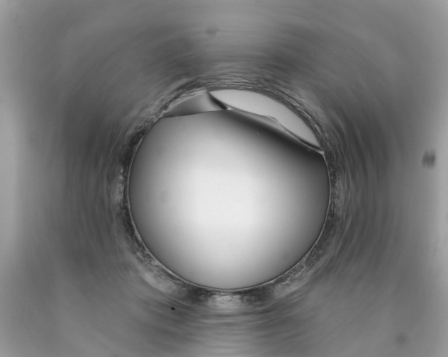 X0000089900413200707262255