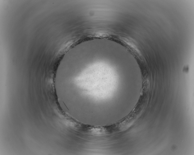 X0000089900415200707262255