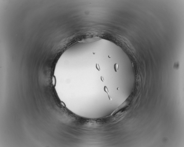 X0000089900416200707262255