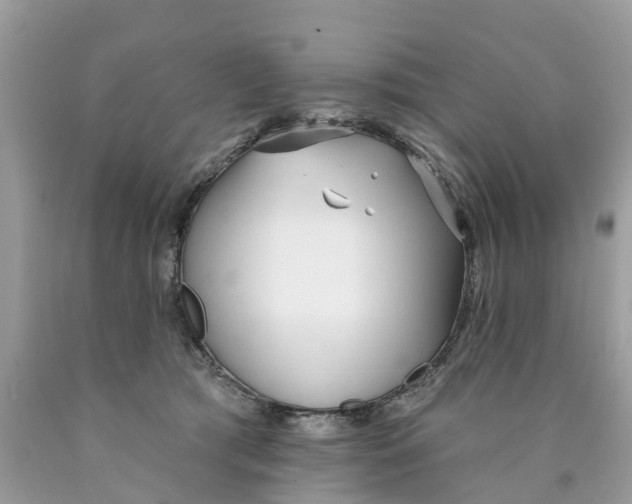 X0000089900417200707262255