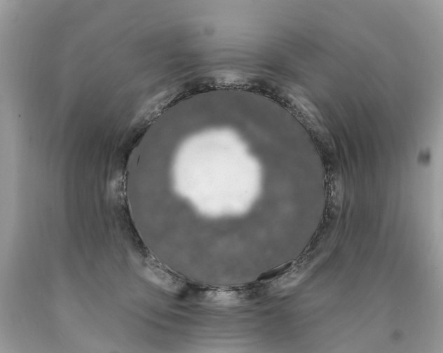 X0000089900419200707262255