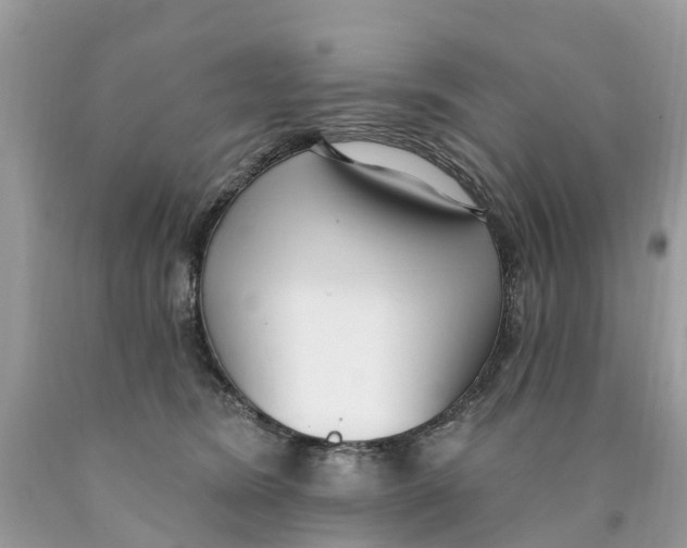 X0000089900420200707262255