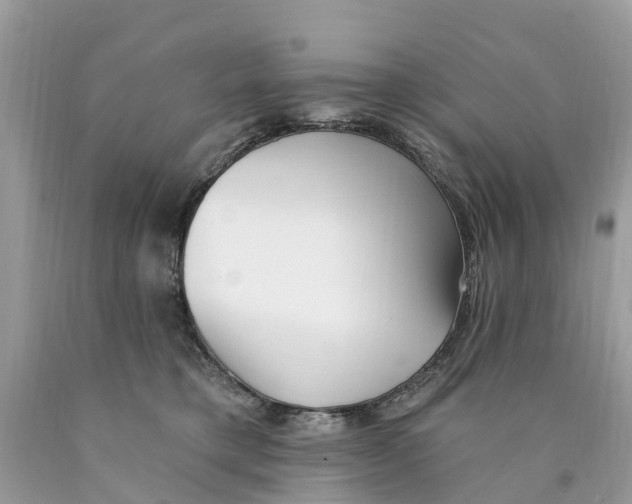 X0000089900421200707262255