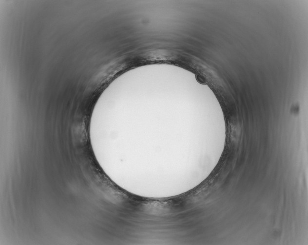 X0000089900422200707262255