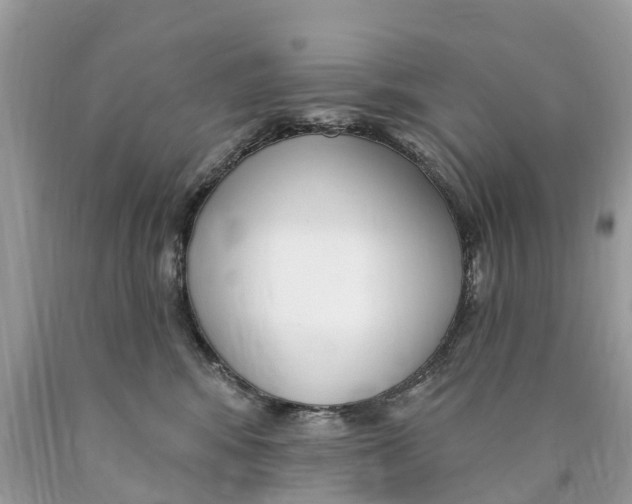 X0000089900424200707262255