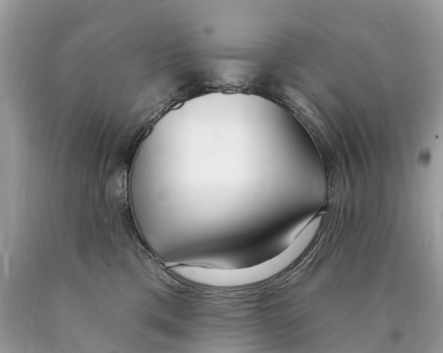 X0000089900425200707262255
