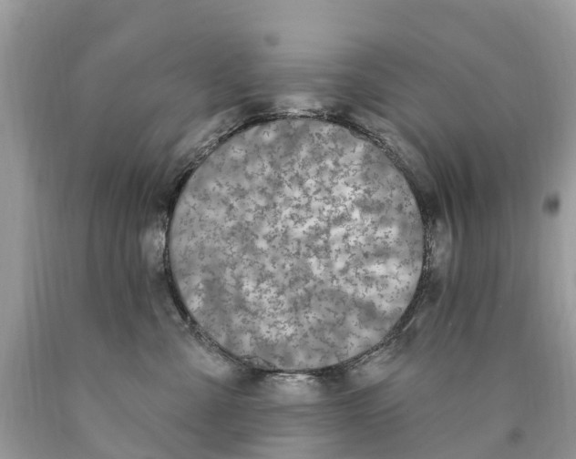 X0000089900427200707262255
