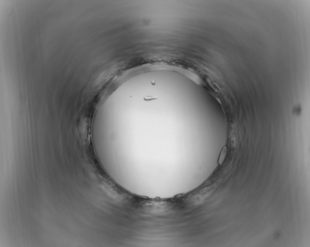 X0000089900428200707262255