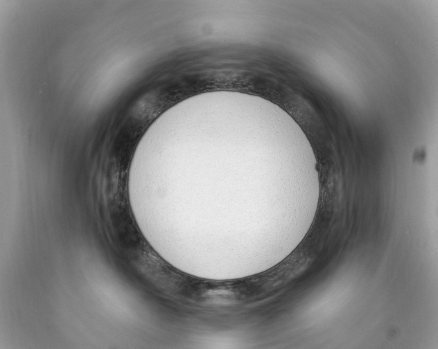 X0000089900430200707262255