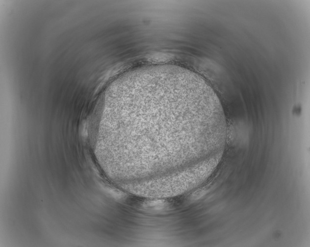 X0000089900431200707262255