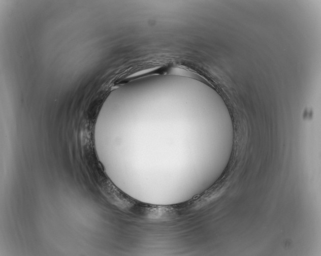 X0000089900432200707262255
