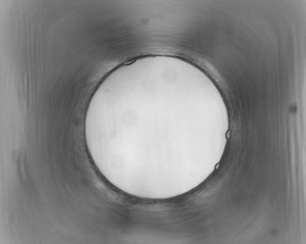 X0000089900433200707262254