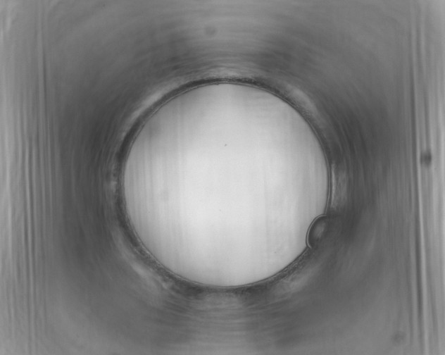 X0000089900435200707262254