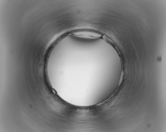 X0000089900440200707262254