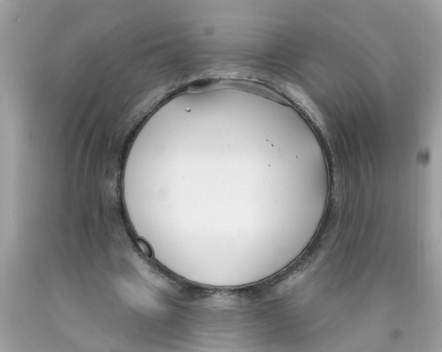 X0000089900441200707262254