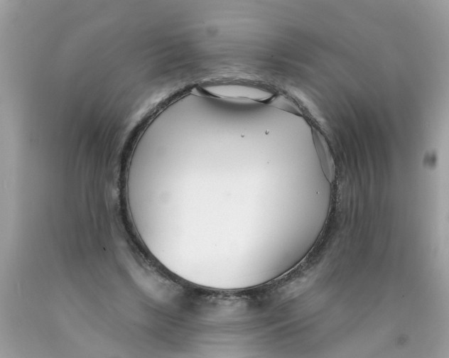 X0000089900443200707262254