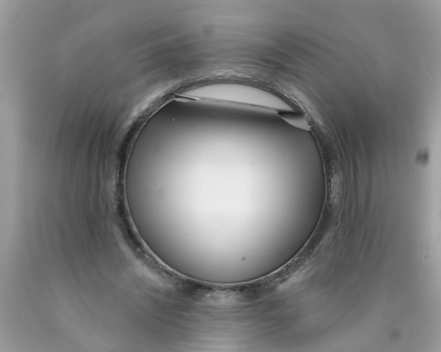 X0000089900444200707262254