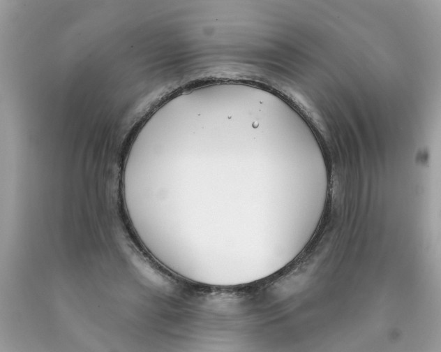 X0000089900445200707262254