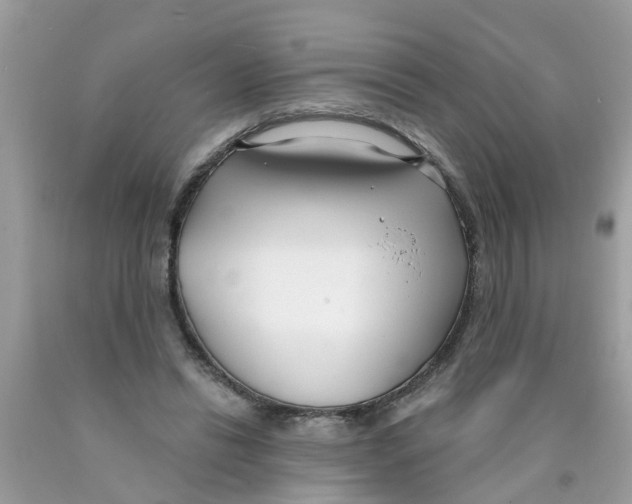 X0000089900446200707262254