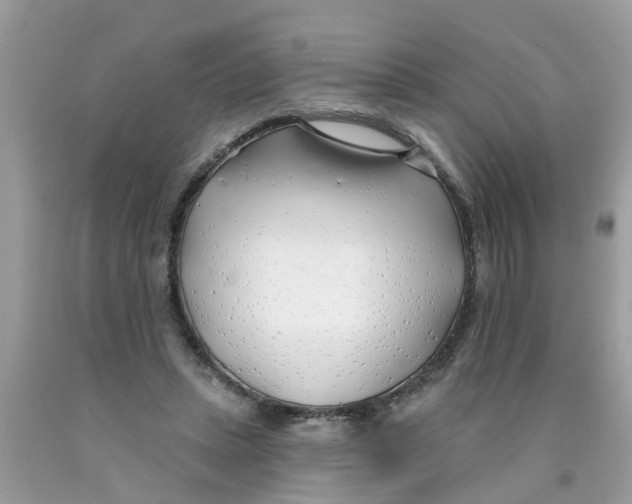 X0000089900447200707262254
