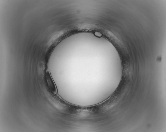 X0000089900448200707262254