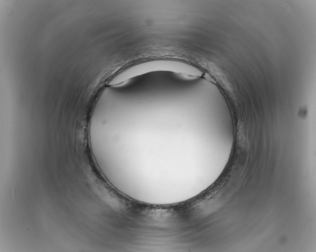 X0000089900449200707262254
