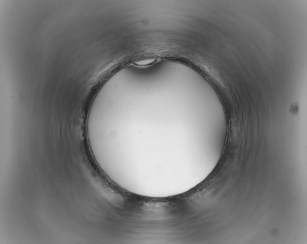X0000089900450200707262254