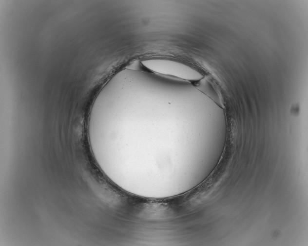 X0000089900451200707262254