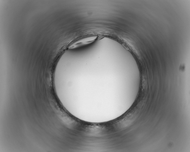 X0000089900453200707262254