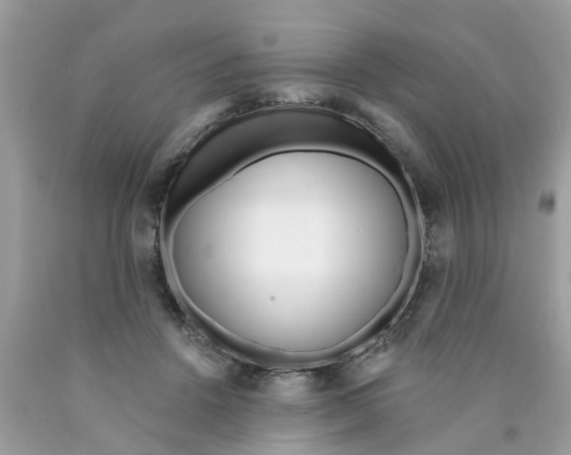 X0000089900456200707262254